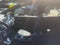 2023 Nissan Leaf S