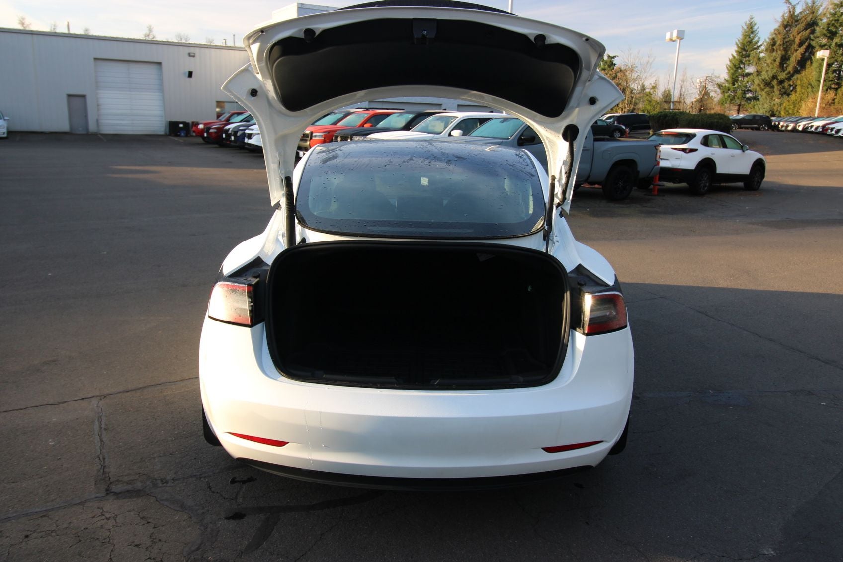 2023 Tesla Model 3 Performance